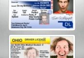 Apple Pulls Fake Drivers License App