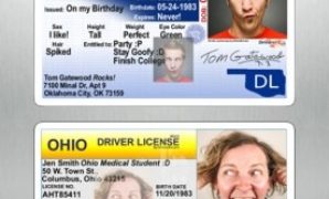 Apple Pulls Fake Drivers License App