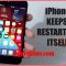 How to Fix iPhone Restarting Itself Continuously