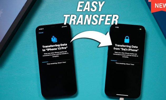 How to Transfer Data from iPhone to iPhone