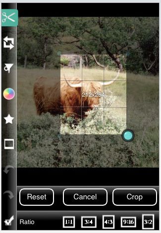 Photogene iphone Photogene iphone