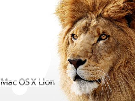 Security Flaw: Apple Hasn’t Paid Attention To Lion’s Security?