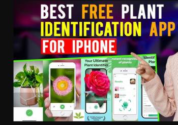 free plant identifier app for iphone free plant identifier app for iphone