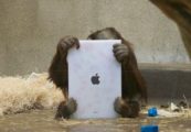 iPad Makes an Appearance at the Zoo