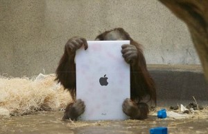 iPad Makes an Appearance at the Zoo