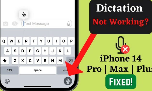 Voice Dictation Not Working on iPhone