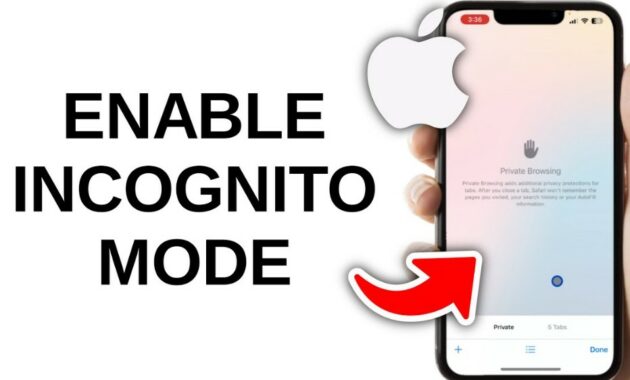 How to Use Incognito Mode on iPhone