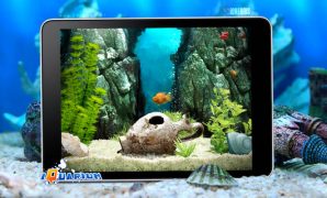 iquarium ipad app