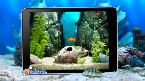 iquarium ipad app