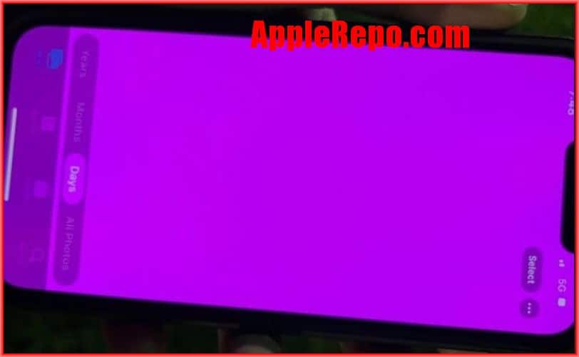 purple screen on iphone purple screen on iphone